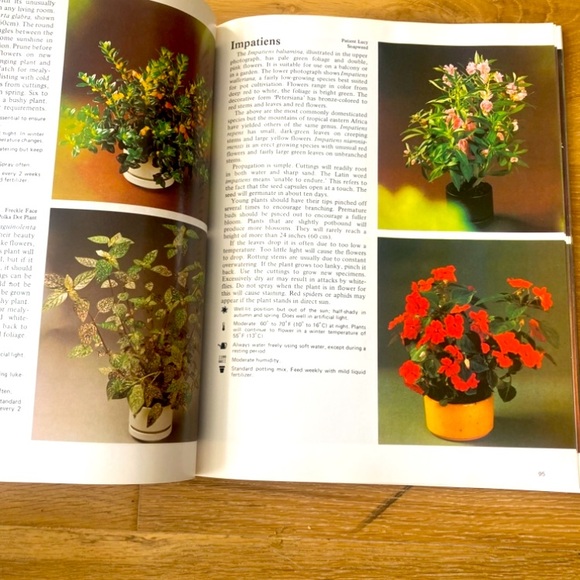 How to Grow Healthy House Plants Book - Picture 4 of 7